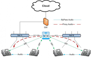 Segregated VoIP network